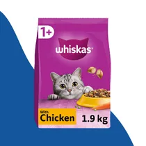 Cat category
